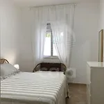 Jasmin - A50m By Cala Salento Torre Lapillo